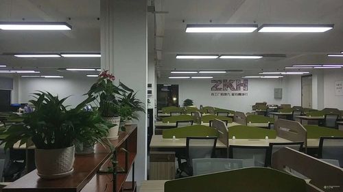 宁波上海震坤行网络技术岗位薪酬解析 机遇与挑战并存